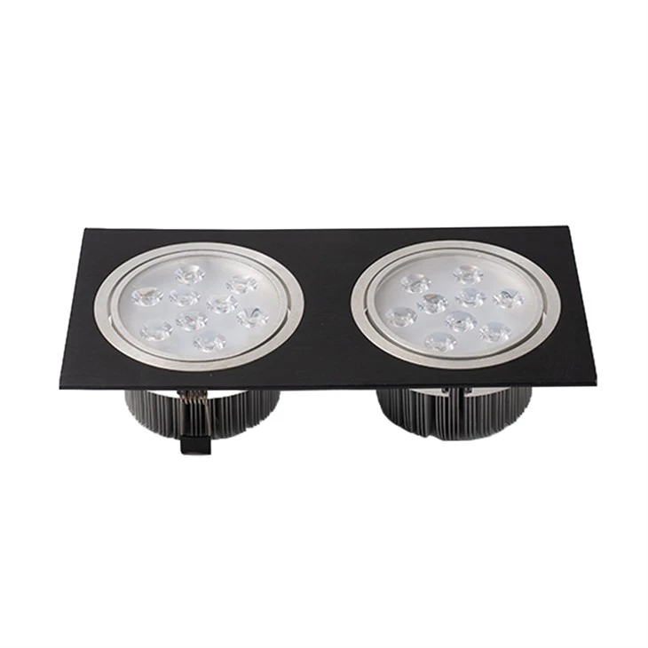 Twin Recessed Downlight best