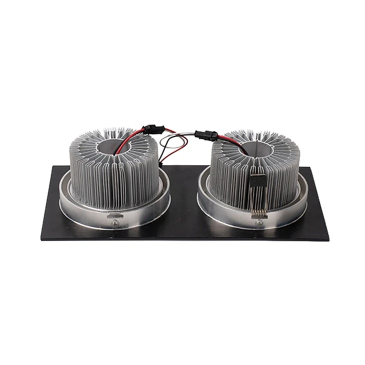 Twin Recessed Downlight manufacturers