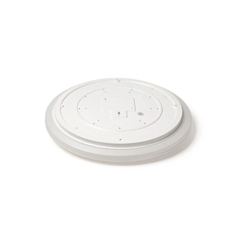 Center Light For Ceiling best