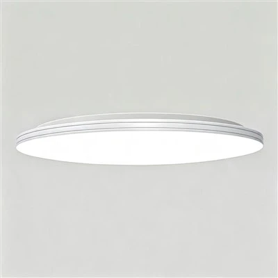 Center Light For Ceiling