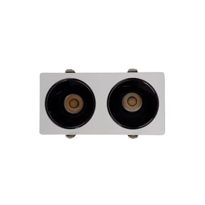 Twin Recessed Downlight