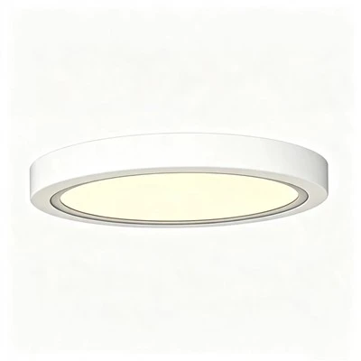 Ultra Thin Flush Mount Ceiling Light