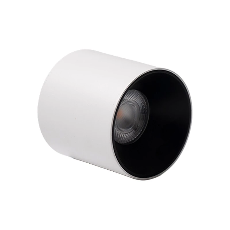 White Surface Mounted Downlight factory
