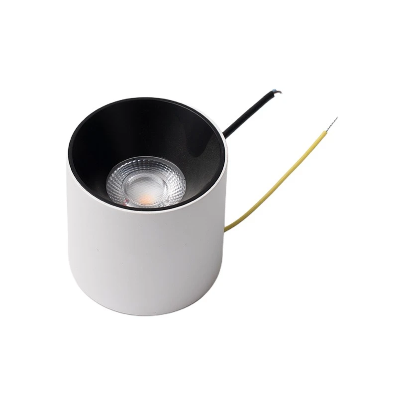 White Surface Mounted Downlight suppliers