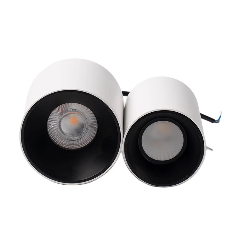 White Surface Mounted Downlight manufacturers